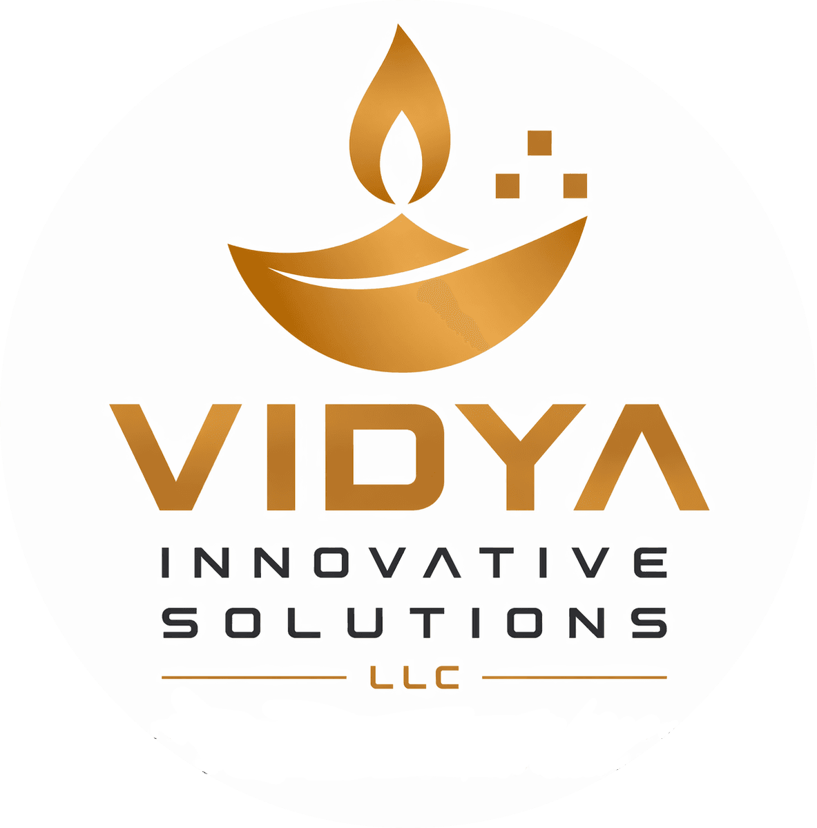 Vidya IS LLC